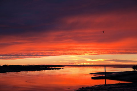 Coastal Pods Wynyard - Great Ocean Road Tourism 1