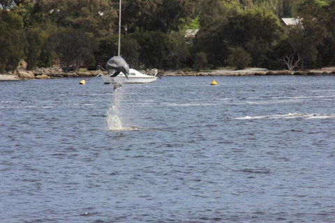 Tani Hill - Great Ocean Road Tourism 1