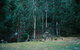 Base Camp Tasmania - thumb 7