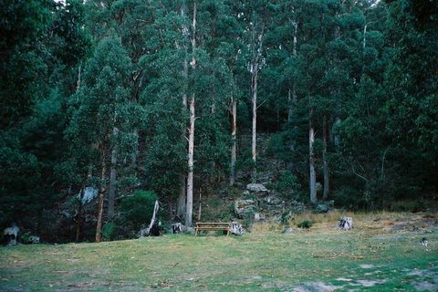 Base Camp Tasmania - Great Ocean Road Tourism 7