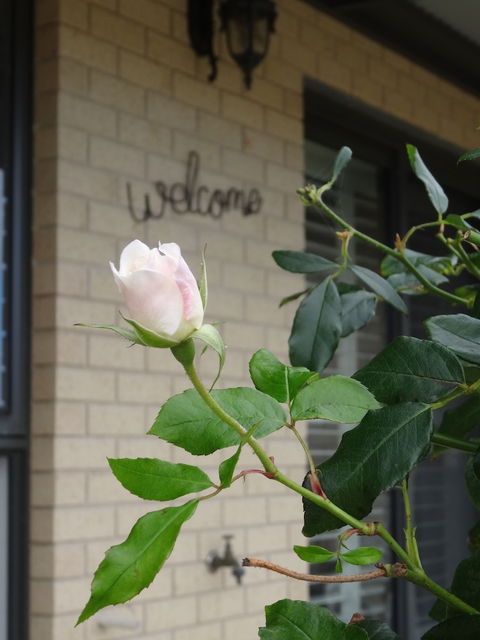 The Oxley Estate - Great Ocean Road Tourism 2