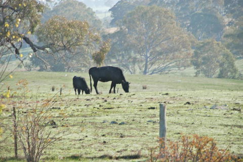 Mancuso Country Cottage Retreat - Great Ocean Road Tourism 5