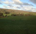 Mancuso Country Cottage Retreat - Great Ocean Road Tourism