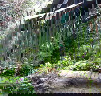 Lemonade Creek Cottages - Great Ocean Road Tourism