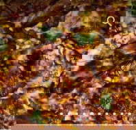 Pizza D'oh - Great Ocean Road Tourism