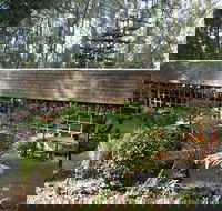 Canadian Pancakes - Great Ocean Road Tourism