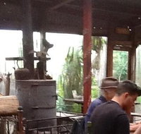 Bodhi Tree - Great Ocean Road Tourism