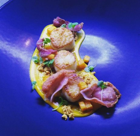 Miss Amelie - Great Ocean Road Tourism 0