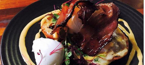 Wild Canary - Great Ocean Road Tourism 3