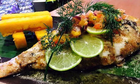 Wild Canary - Great Ocean Road Tourism 5