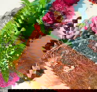 Mitchelton Winery - Great Ocean Road Tourism