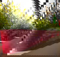 Dinoni - Great Ocean Road Tourism