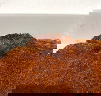 Pizza On Lomond - Great Ocean Road Tourism