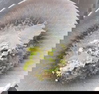 Hampden Deli Dining and School - Great Ocean Road Tourism