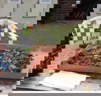 Lake Conjola General Store Cafe