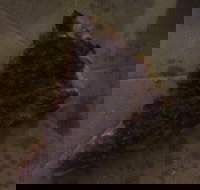 Pizza Paradise - Great Ocean Road Tourism