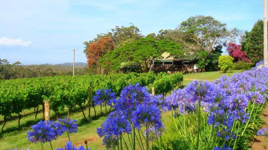 Port Macquarie NSW Great Ocean Road Tourism