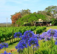 Little Fish Cafe - Great Ocean Road Tourism
