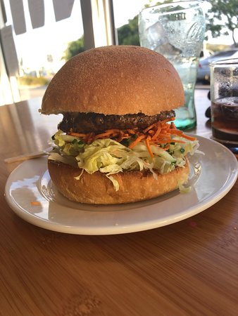 Poppy Grassy - Great Ocean Road Tourism 0