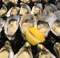 The Oyster Shed - Great Ocean Road Tourism