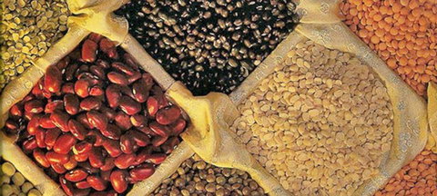 Brewsters Cafe Ballina - Great Ocean Road Tourism 1