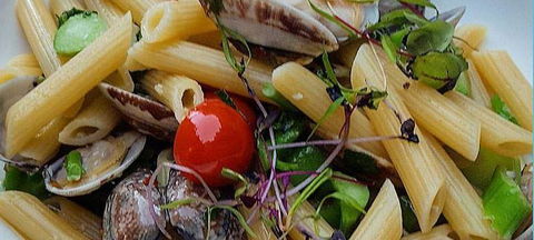 Jannat Authentic Indian Restaurant - Great Ocean Road Tourism 13