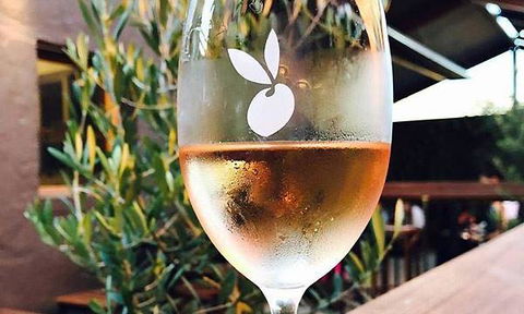 Jannat Authentic Indian Restaurant - Great Ocean Road Tourism 15