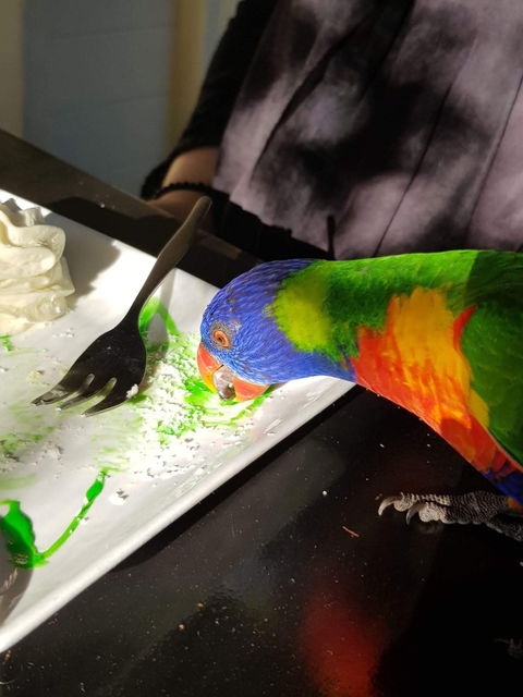 Julie's At The Rectory - Great Ocean Road Tourism 2