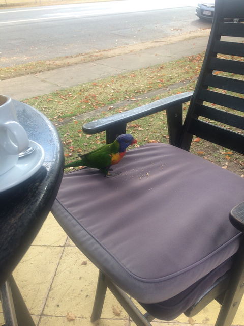 Julie's At The Rectory - Great Ocean Road Tourism 4