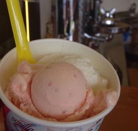 Bermagui Gelati Clinic - Great Ocean Road Tourism