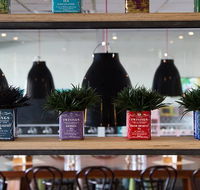 Collegians Balgownie