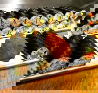 Freewave Sushi  Burgers - Great Ocean Road Tourism