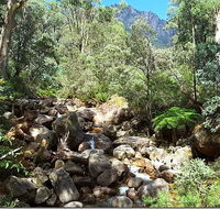 Star Chinese Restaurant