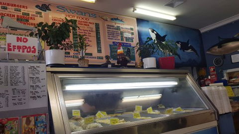 Swans Take Away - Great Ocean Road Tourism 0