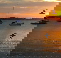 Common Circus - Great Ocean Road Tourism