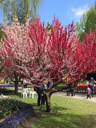 Ngunnawal ACT Great Ocean Road Tourism