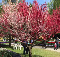 Mirchi Indian Cuisine - Great Ocean Road Tourism