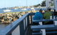 Pelican Point Fish & Chips - thumb 0