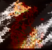 Shin Sen Teppanyaki Restaurant - Great Ocean Road Tourism