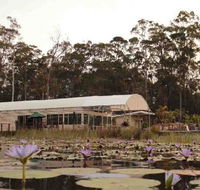 Abundance Cafe and Garden Centre - Great Ocean Road Tourism