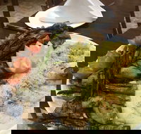 Yummy Yalla Restaurant - Great Ocean Road Tourism