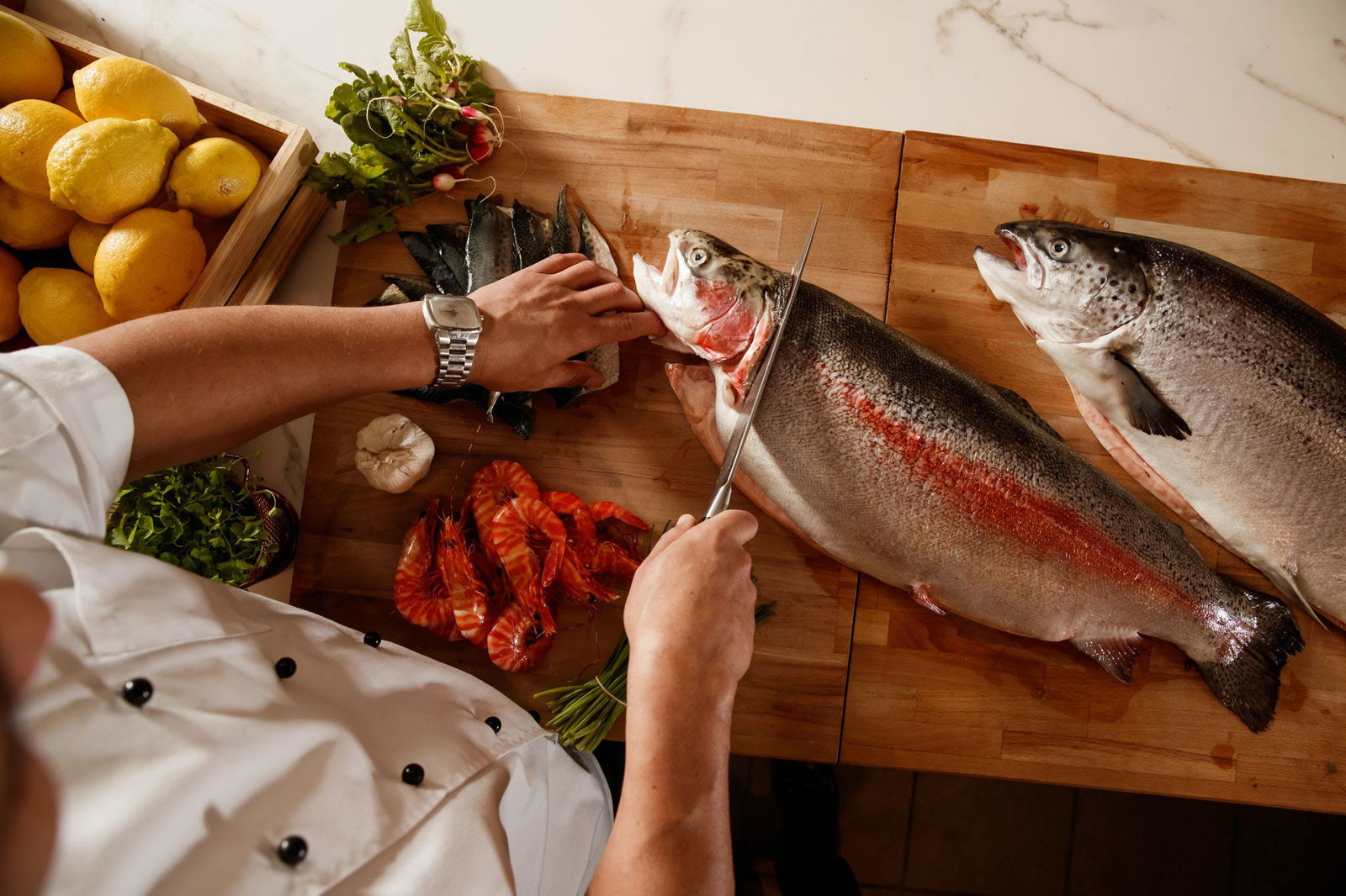 Surfers Paradise QLD Great Ocean Road Tourism