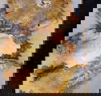 Breaks Fremantle - Great Ocean Road Tourism