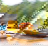 Hello Harry - Ascot  Hamilton - Great Ocean Road Tourism