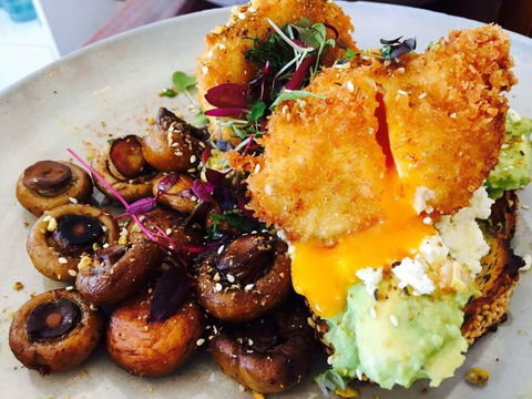 The Colonel's Son - Great Ocean Road Tourism 0