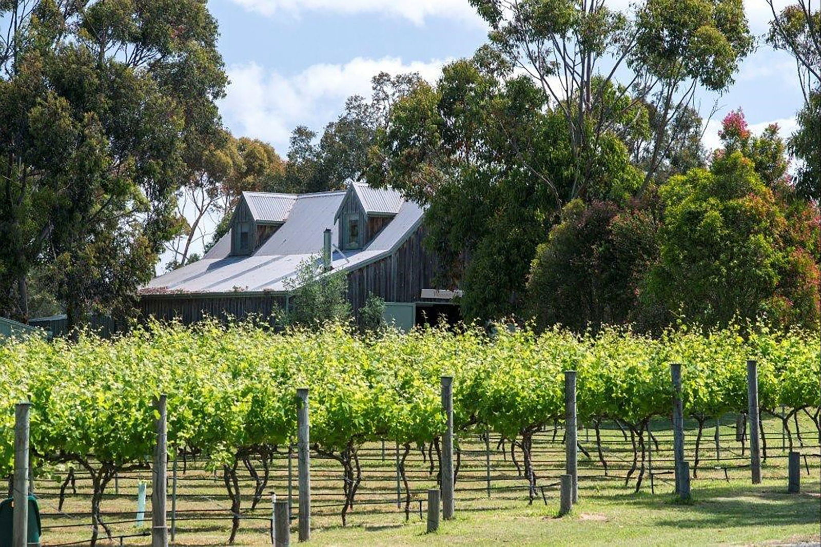  Great Ocean Road Tourism