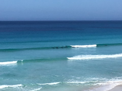 Beach Barista - Great Ocean Road Tourism 1