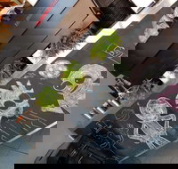 Coffee Plus of Ivanhoe - Great Ocean Road Tourism