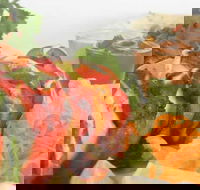 Raavi's Cumin - Great Ocean Road Tourism