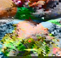 Salad Bar - Surry Hills - Great Ocean Road Tourism